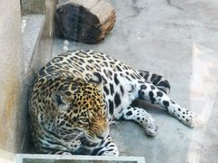 -西安秦岭野生动物园