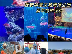 -华夏文旅海洋公园