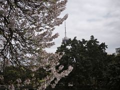 -成都市活水公园