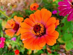 -长兴太湖图影湿地文化园