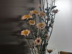 -YECLIP COFFEE黄色回形针咖啡