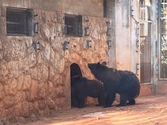 -昆明动物园