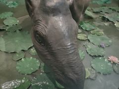 -浙江自然博物院(杭州馆)