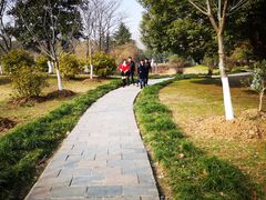 -堤角公园