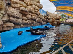 -华夏文旅海洋公园