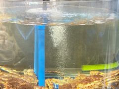 -海味当家·蒸锅海鲜(中山广场创始店)