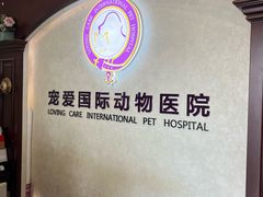 -宠爱国际动物医院·疑难骨科·心肾内科·皮肤科(太阳宫店)