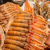 成都海鲜天花板🦐怎么会拒绝一整只麻辣大波龙呢