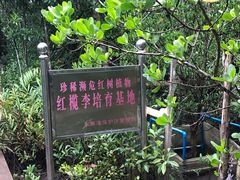 -东寨港红树林旅游区