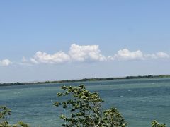 -江滩湿地公园