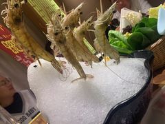 -尚海豆捞(乐虹坊店)