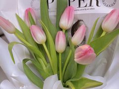 -循礼门鲜花花市(武汉循礼门店)