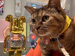 -融创·外滩壹号院