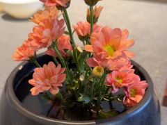 -喜湘宴·精致湖南菜(和平西桥店)