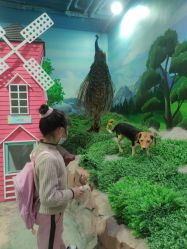 -酷嗒动物文化乐园(cutezoo西溪乐天城店)