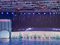 -海合安青岛极地海洋公园