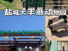 -盐城大丰港动物园