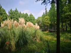 -尚贤河湿地