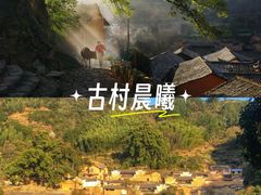 -杨家堂村
