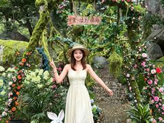 -沂蒙山旅游区云蒙景区(蒙山国家森林公园)