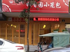 -桐香园小笼包(百井坊巷店)