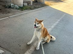 -中粮·祥云小镇