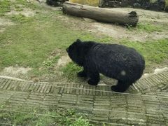-黔灵山公园