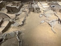 -洛阳周王城天子驾六博物馆