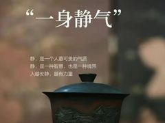 -华祥苑茶馆•国缤茶小蓝罐(普罗旺斯店)