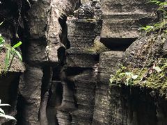 -梭布垭石林景区