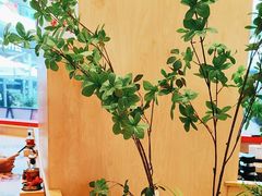 -华记煲仔华·煲仔饭(三元里万科里店)