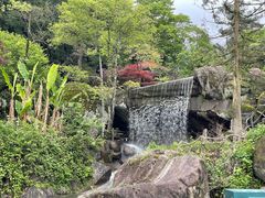 -大围山国家森林公园