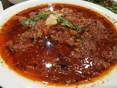水煮牛肉-夫妻肺片·中华老字号·正宗川菜(春熙路店)