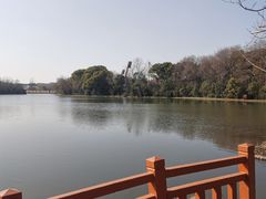 -新江湾城公园