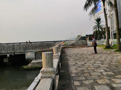 -野狸岛