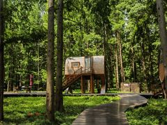 -黄海国家森林公园