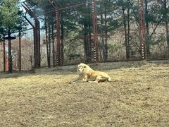 -沈阳森林动物园