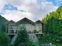 -武陵山森林公园