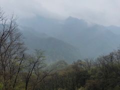 -洛阳白云山景区