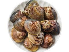 鲜活文蛤&nbsp;&nbsp;散称-盒马鲜生(首义店)