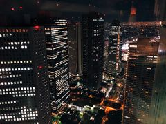 -东京都厅舍