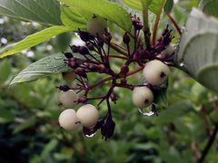 -北京宽沟会议中心