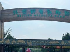 -北京野生动物园