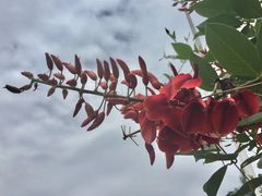 -南沙蒲洲花园