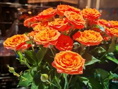 -岷山饭店-芝芝自助餐厅