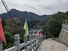 -大岭沟猕猴桃谷风景区