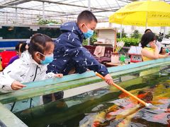 -菊园百果园