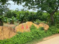 -涠洲岛香蕉鸡