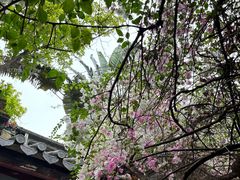 -深圳国际园林花卉博览园