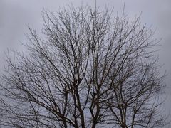 -道林古镇